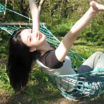 菜鸟总动员
